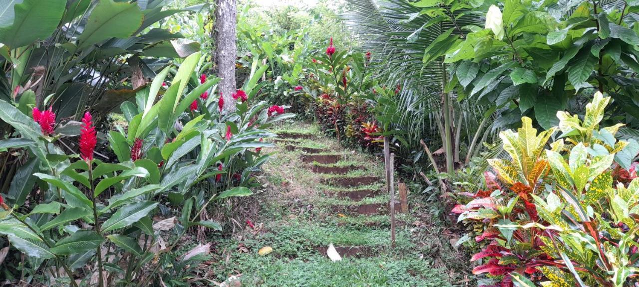 La Mariola - Finca Agroecologica El Castillo de La Concepción Dış mekan fotoğraf