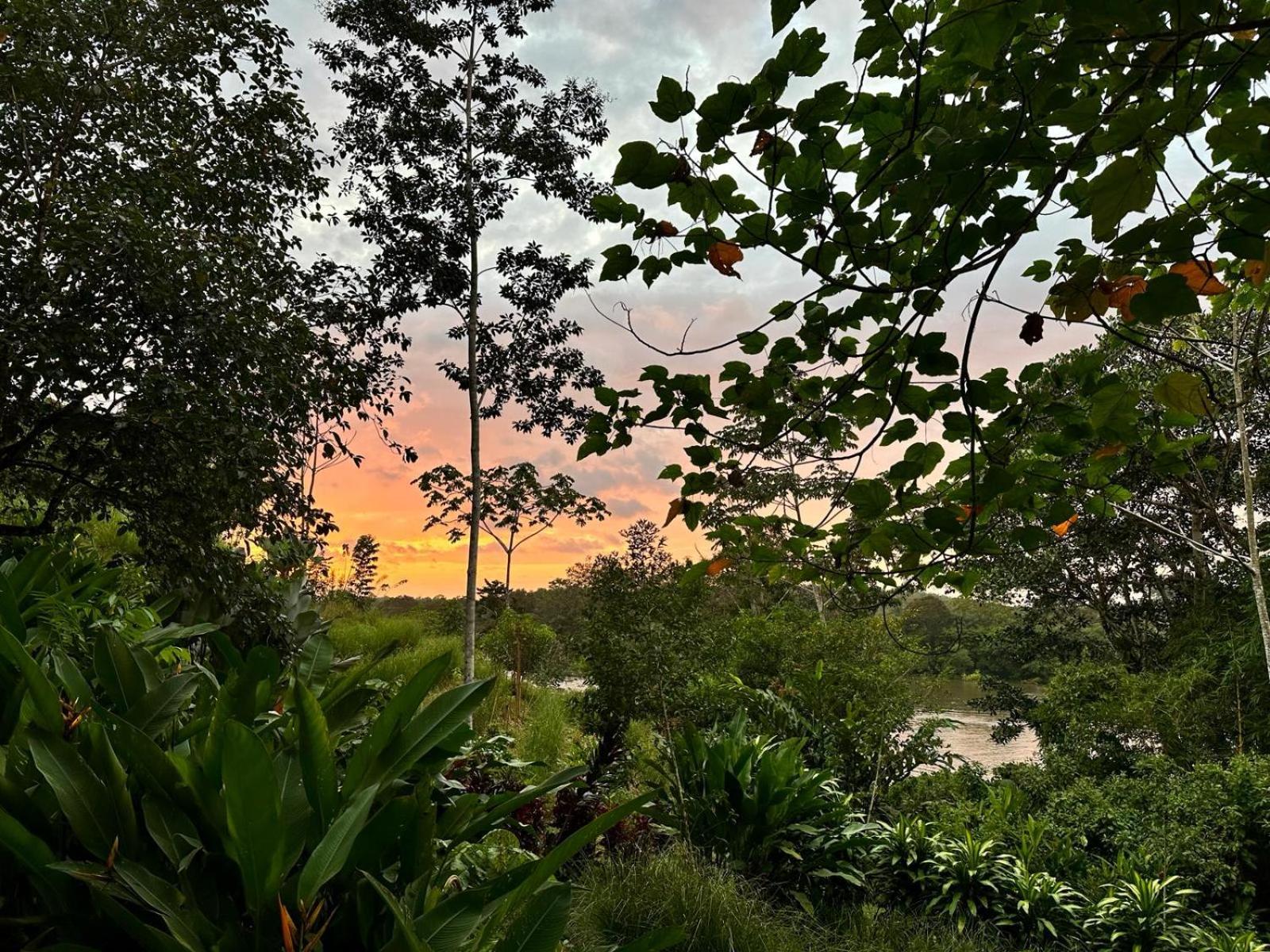 La Mariola - Finca Agroecologica El Castillo de La Concepción Dış mekan fotoğraf